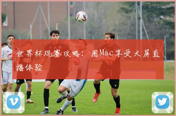 世界杯观赛攻略：用Mac享受大屏直播体验