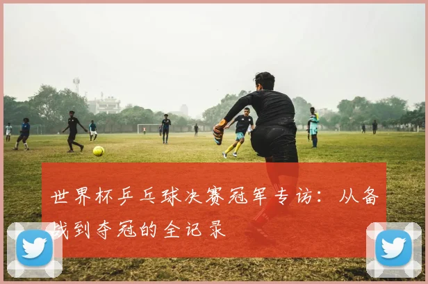 世界杯乒乓球决赛冠军专访：从备战到夺冠的全记录