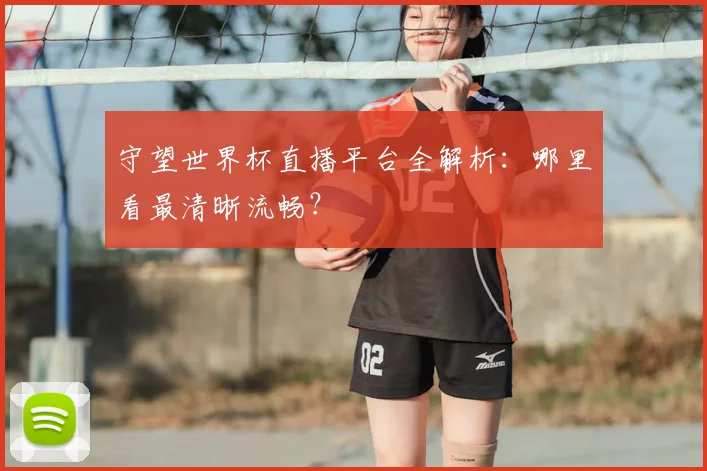守望世界杯直播平台全解析:哪里看最清晰流畅?