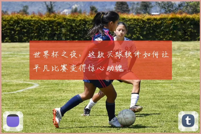 世界杯之夜，这款买球软件如何让平凡比赛变得惊心动魄