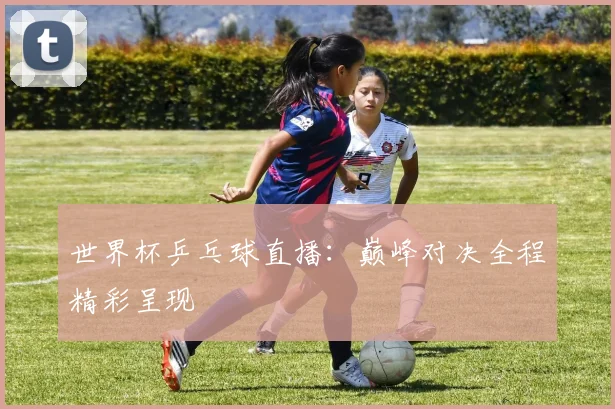世界杯乒乓球直播：巅峰对决全程精彩呈现