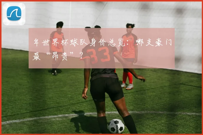 年世界杯球队身价总览:哪支豪门最“昂贵”?