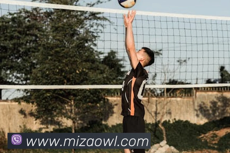 开云手机网页入口平台生态图