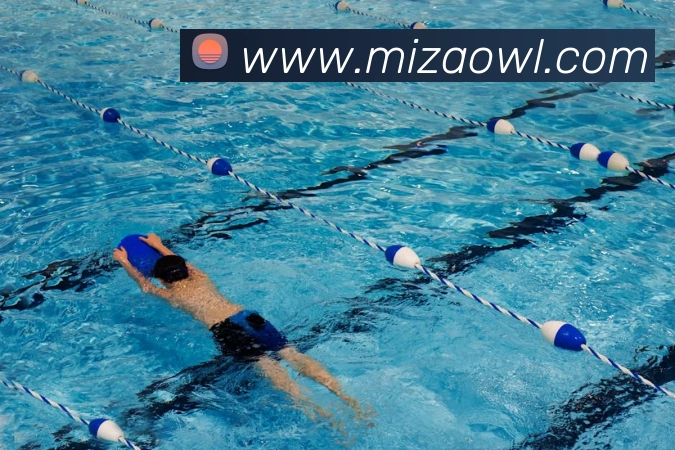 开云手机网页入口全站App